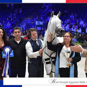 Lisa Abraham: The 2018 Arabian Horse World Championship Photo Gallery