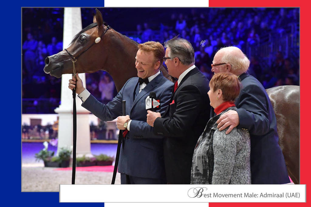 Lisa Abraham: The 2018 Arabian Horse World Championship Photo Gallery