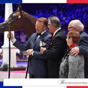 Lisa Abraham: The 2018 Arabian Horse World Championship Photo Gallery