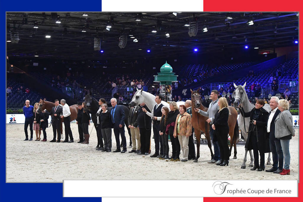 Lisa Abraham: The 2018 Arabian Horse World Championship Photo Gallery