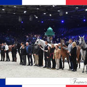 Lisa Abraham: The 2018 Arabian Horse World Championship Photo Gallery