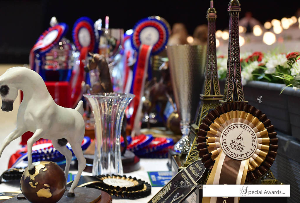 Lisa Abraham: The 2018 Arabian Horse World Championship Photo Gallery