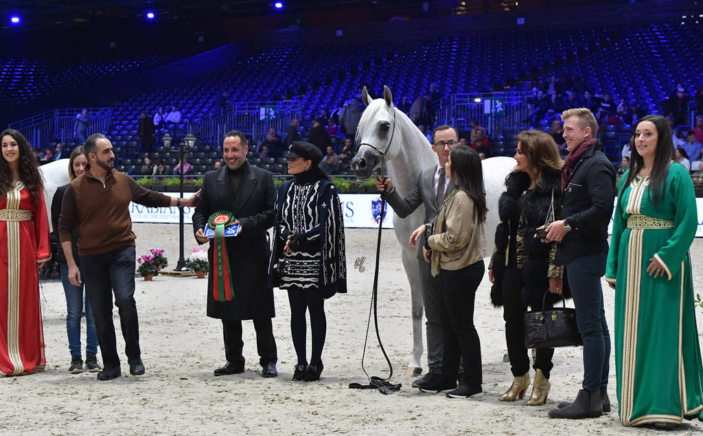 Senior Mare: Aijana OS