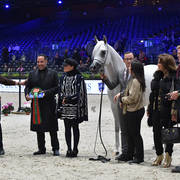 Senior Mare: Aijana OS