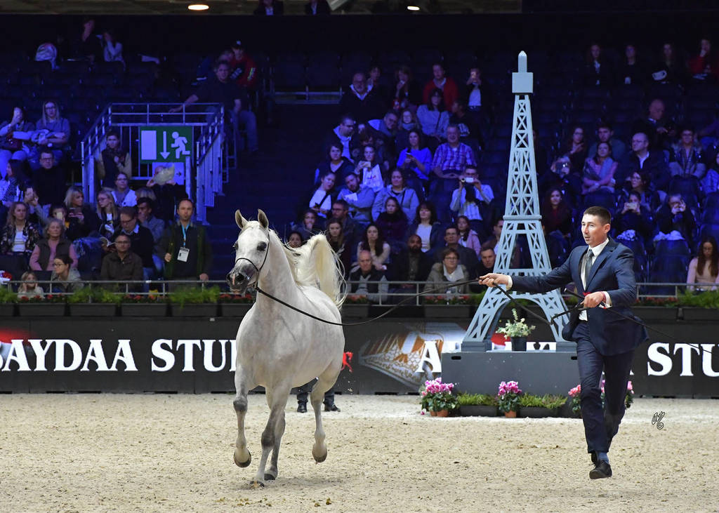 Senior Mare: TF Esmeralda