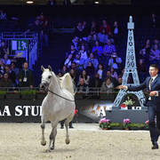 Senior Mare: TF Esmeralda