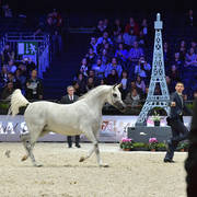 Senior Mare: TF Esmeralda