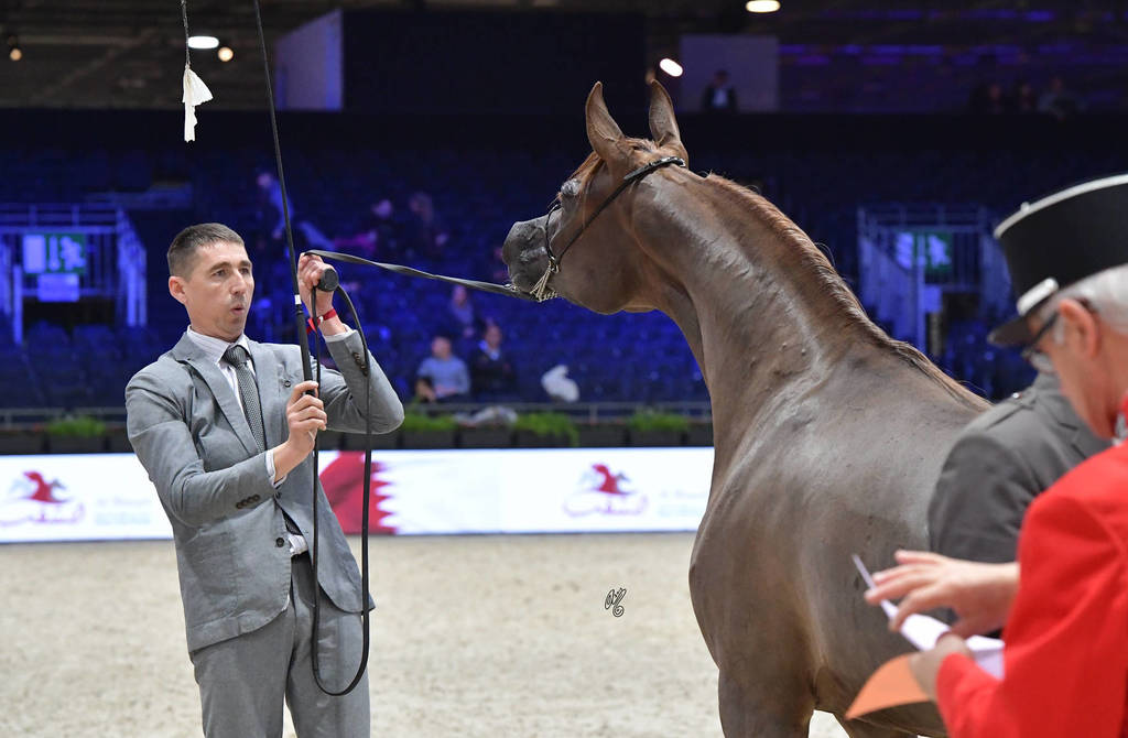 Junior Filly: Emanolla