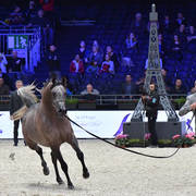 Junior Filly: Caza Al Soor