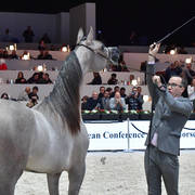 Yearling Filly: Algamra