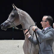 Yearling Filly: Algamra