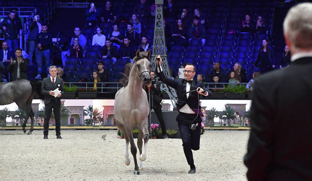 Yearling Filly: Algamra