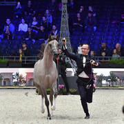 Yearling Filly: Algamra