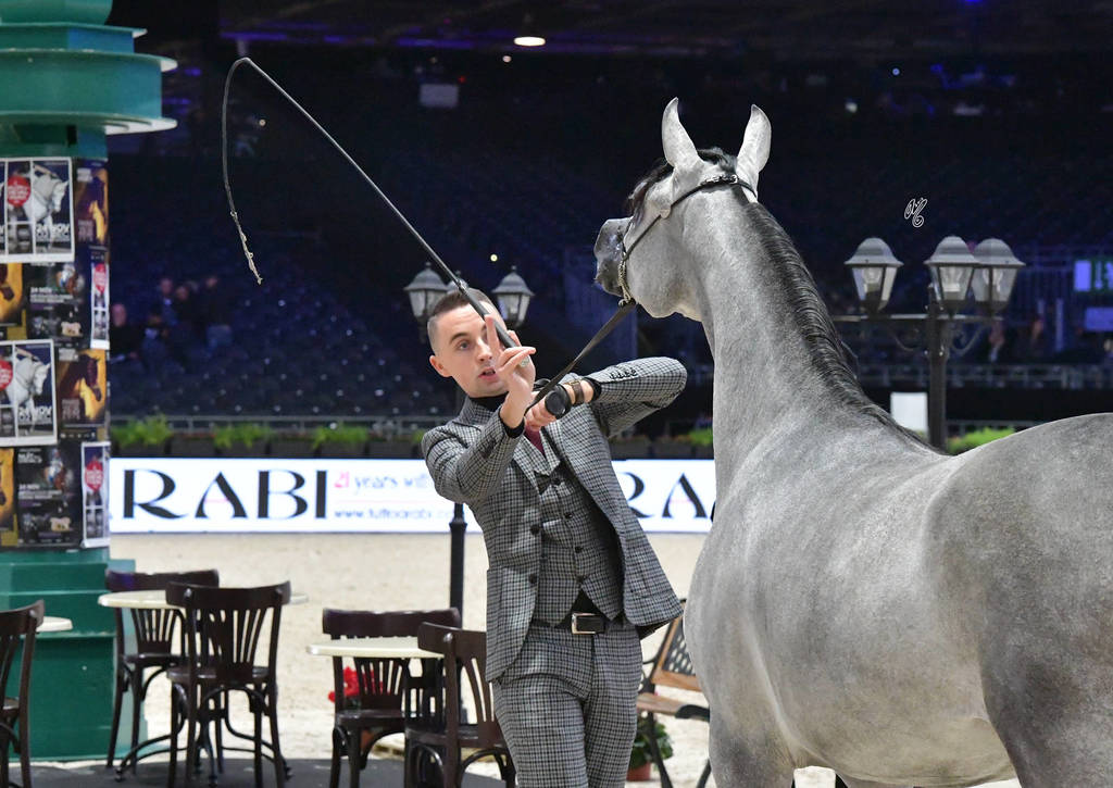 Yearling Filly: Duchesss Amaiyaa DMC