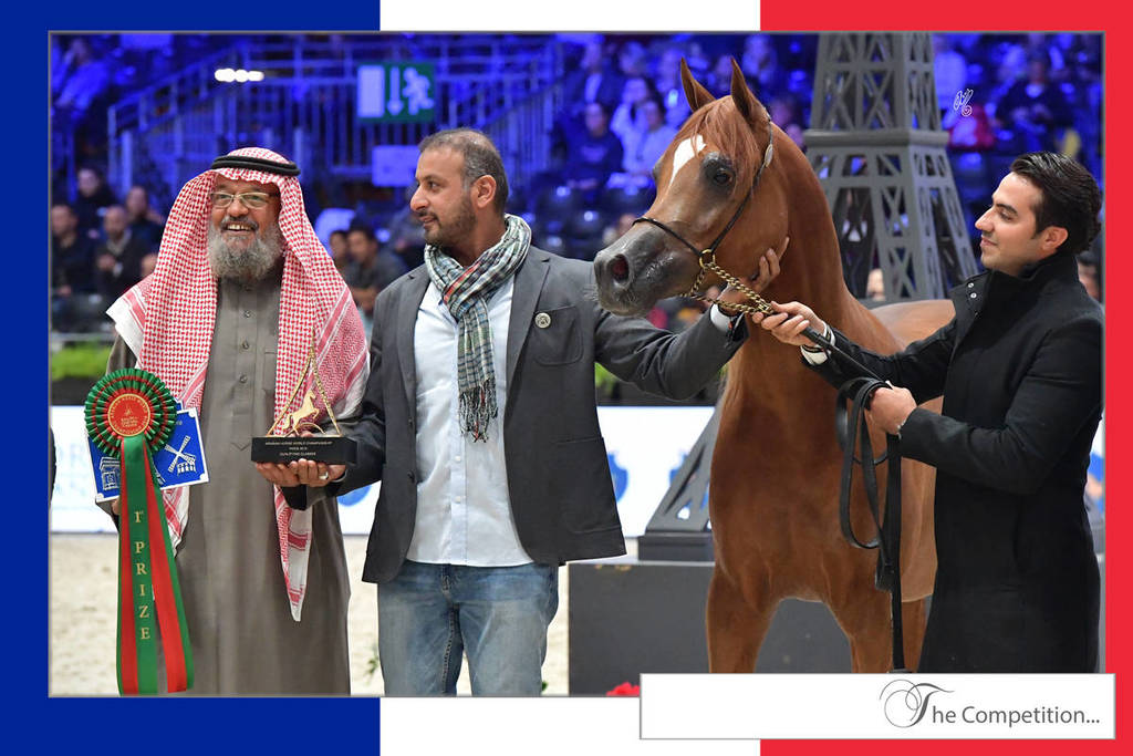 Lisa Abraham: The 2018 Arabian Horse World Championship Photo Gallery