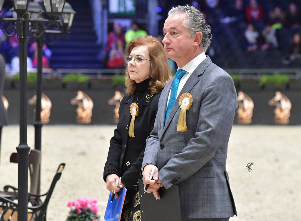 Lisa Abraham: The 2018 Arabian Horse World Championship Photo Gallery