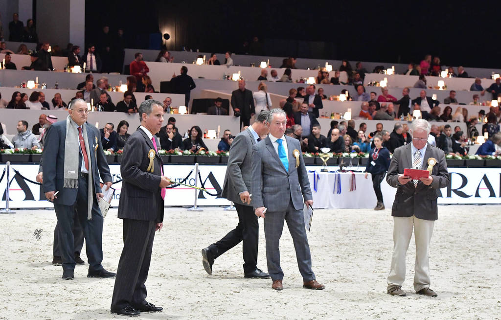 Lisa Abraham: The 2018 Arabian Horse World Championship Photo Gallery