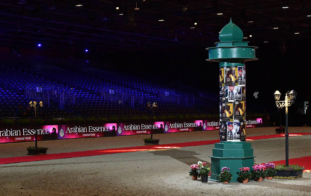 Lisa Abraham: The 2018 Arabian Horse World Championship Photo Gallery