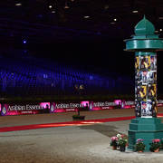 Lisa Abraham: The 2018 Arabian Horse World Championship Photo Gallery