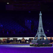 Lisa Abraham: The 2018 Arabian Horse World Championship Photo Gallery