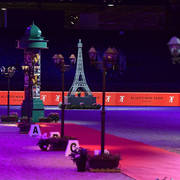 Lisa Abraham: The 2018 Arabian Horse World Championship Photo Gallery