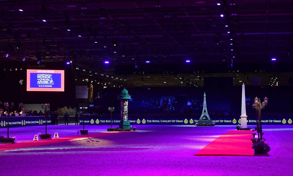 Lisa Abraham: The 2018 Arabian Horse World Championship Photo Gallery