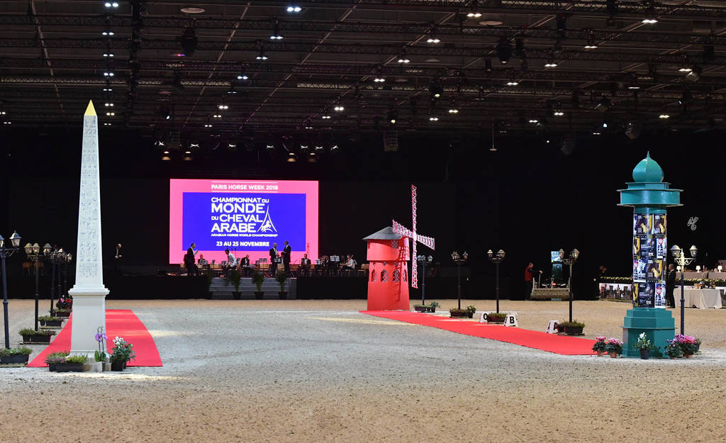 Lisa Abraham: The 2018 Arabian Horse World Championship Photo Gallery