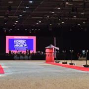 Lisa Abraham: The 2018 Arabian Horse World Championship Photo Gallery