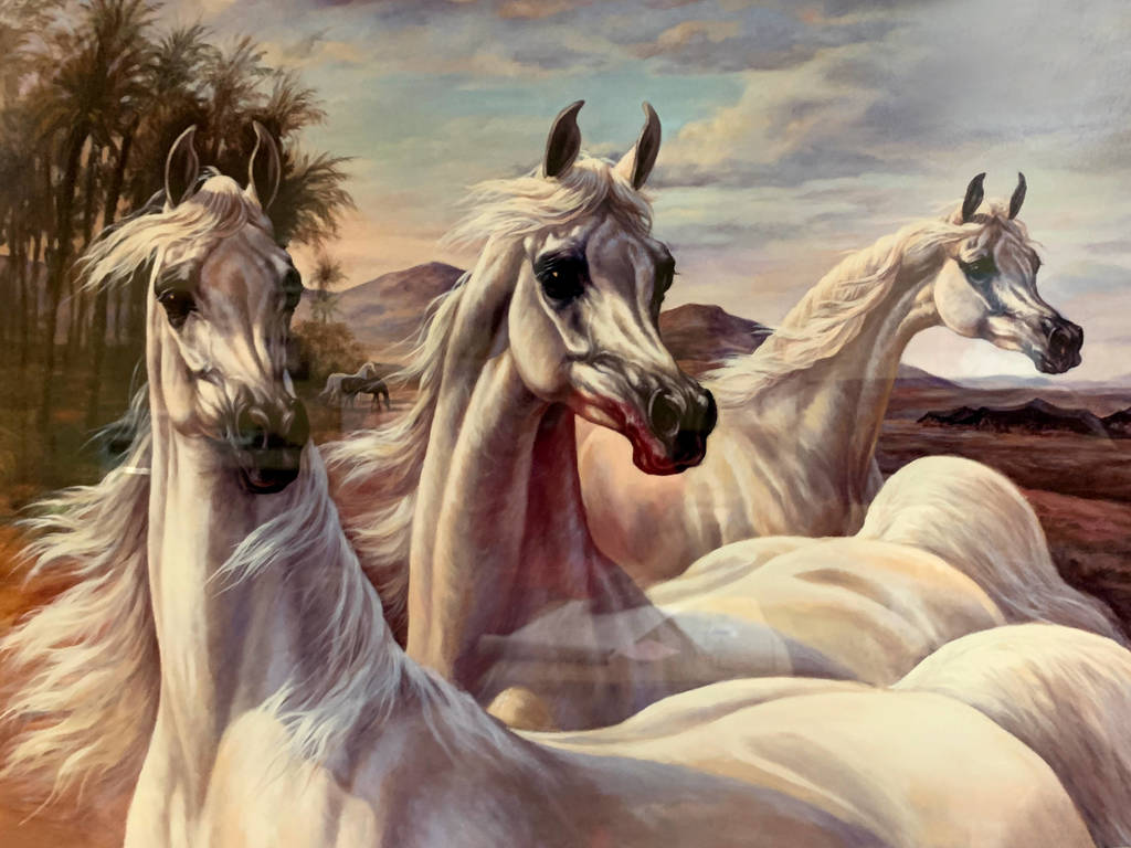 Shary B. Akers Print