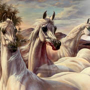 Shary B. Akers Print