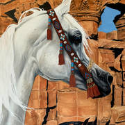 Judith Wagner – The Mares of Jerash