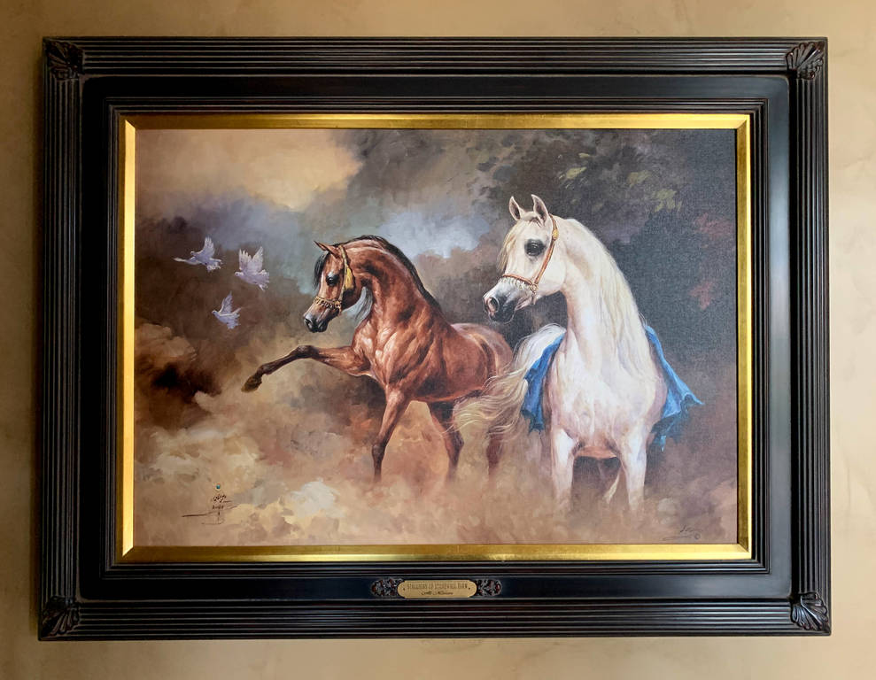 Ali Al Mimar – Stallions