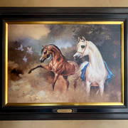 Ali Al Mimar – Stallions