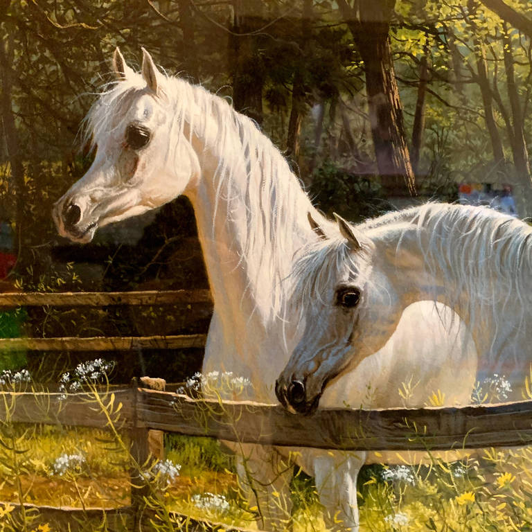 Mary Haggard - Black-Eyed Susans