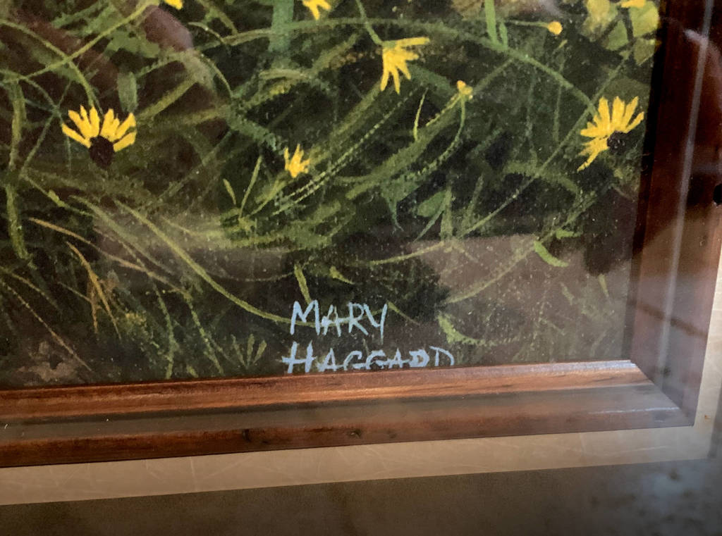 Mary Haggard - Black-Eyed Susans