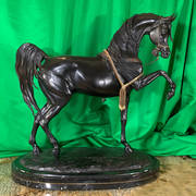 Judy Nordquist – Stallion of the Mameluke