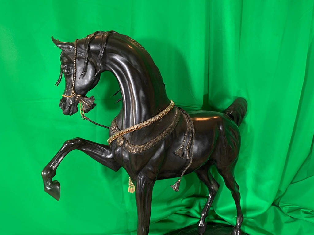 Judy Nordquist – Stallion of the Mameluke