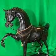 Judy Nordquist – Stallion of the Mameluke