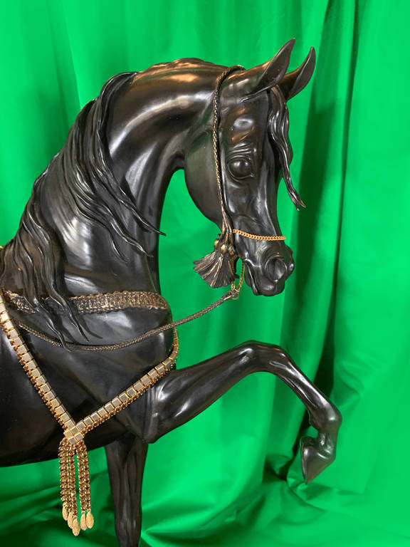 Judy Nordquist – Stallion of the Mameluke