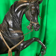 Judy Nordquist – Stallion of the Mameluke