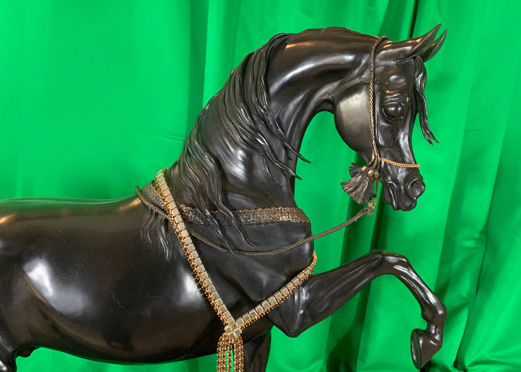 Judy Nordquist – Stallion of the Mameluke