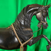 Judy Nordquist – Stallion of the Mameluke