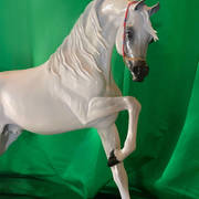 Judy Nordquist – Escape