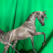 Jennifer Weyland – Mare Bronze