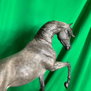 Jennifer Weyland – Mare Bronze