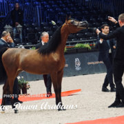 Paris World Championship 2018