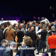 Paris World Championship 2018