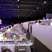 Paris World Championship 2018