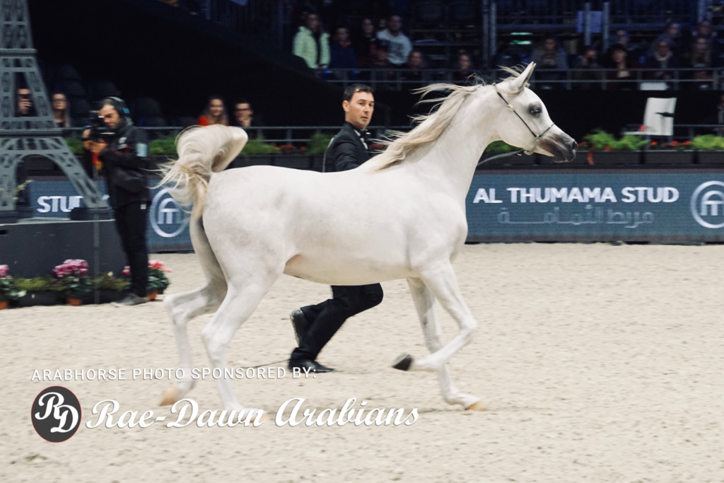 Paris World Championship 2018