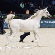 Paris World Championship 2018